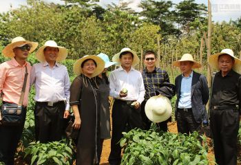 江西省政府代表團(tuán)考察中國(guó)援赤道幾內(nèi)亞示范農(nóng)場(chǎng)